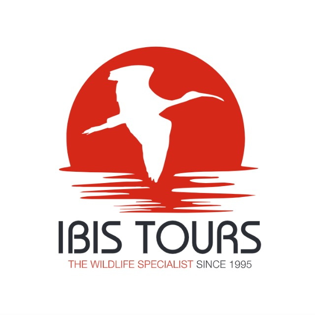 Ibis Tours
